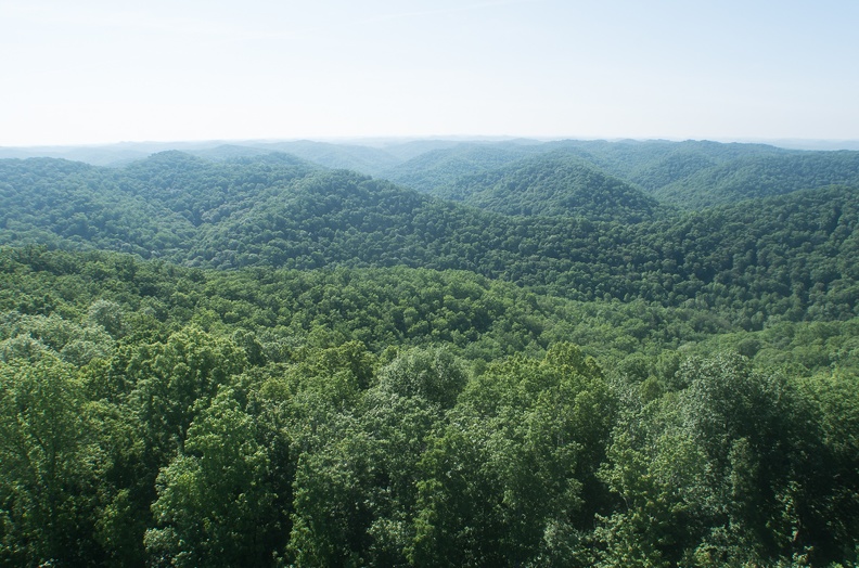 Fire Tower339.jpg